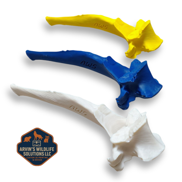 Arvin's Plastic T-Bone