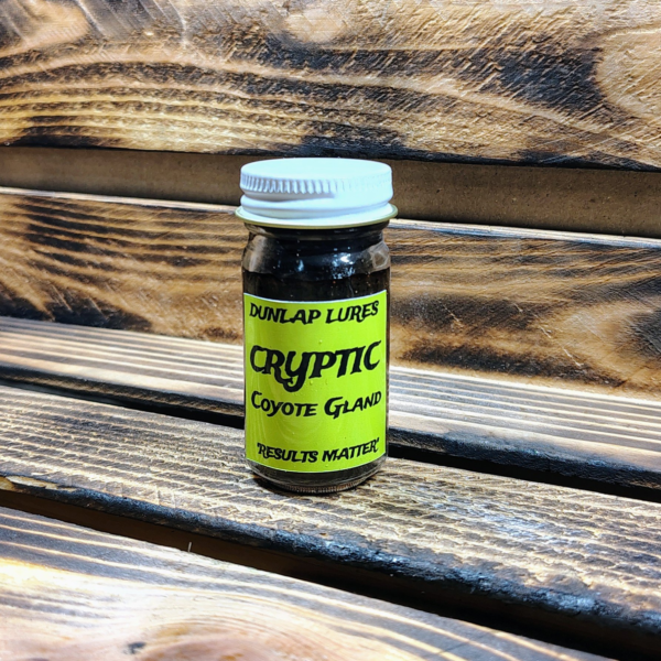 Dunlap's Cryptic Coyote Gland