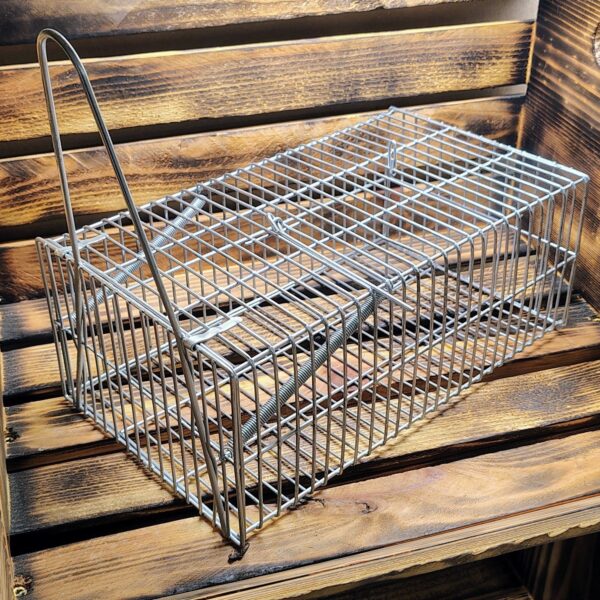 Chipmunk Cage Trap