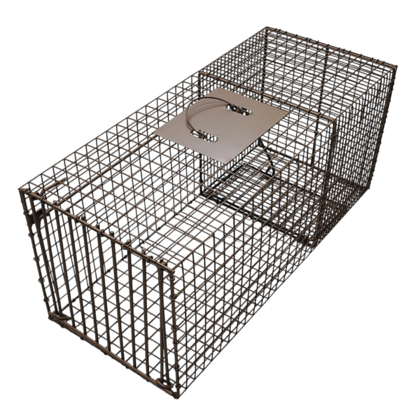Cage & Colony Traps